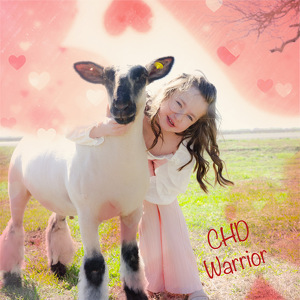 Fundraising Page: Lyndi West